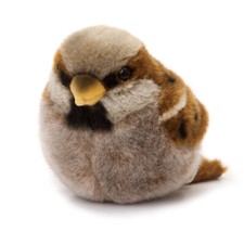 Sparrow by Kosen / Kösen -