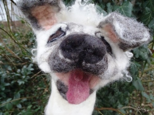 Mops pudel handpuppe hund - handpuppe,