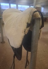 Fellsattel Basic Plus von