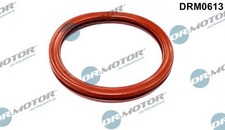 Dr.Motor Automotive DRM0613