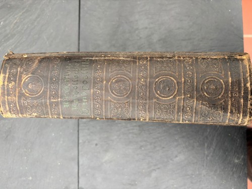 Die bibel katholische - bibel,