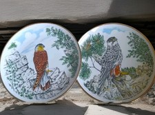 2 Winterling Schwarzenbach