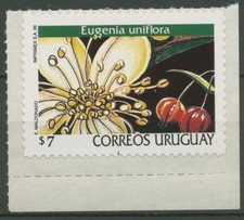 Uruguay 1999 freimarke blüten - uruguay,