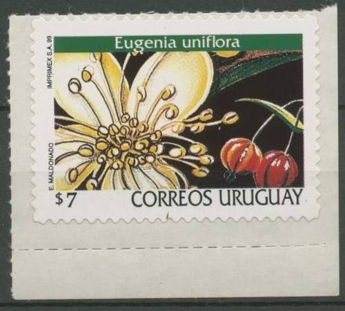 Uruguay 1999 freimarke blüten - 1999,