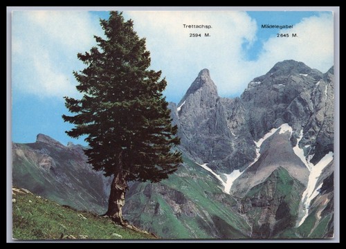 Ansichtskarte oberstdorf - ansichtskarte, im