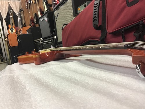 Prs santana gitarre - prs, se