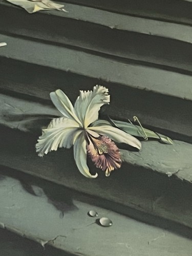 Tretchikoff the lost orchid - the,