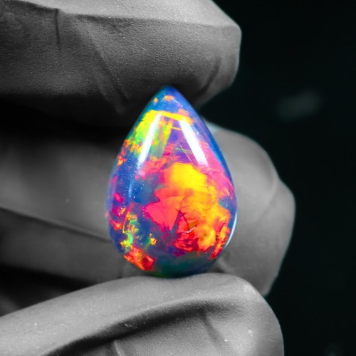 Birne schwarz opal - birne,