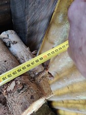 Brennholz Obstbäume ca. 2 Raummeter