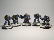 Wolf Guard Terminators - Space Wolves - gut bemalt - Warhammer 40k Space Marines