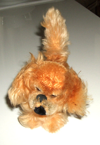 50er jahre steiff pekynese - 50er,
