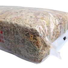 12l/6L natürliche Sphagnum