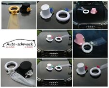 SCHLEIER UND HUT  Auto Schmuck