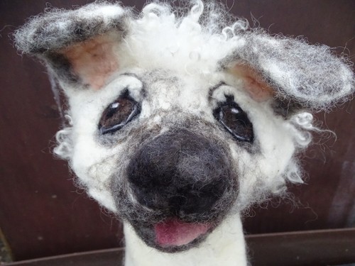 Mops pudel handpuppe hund - mops,