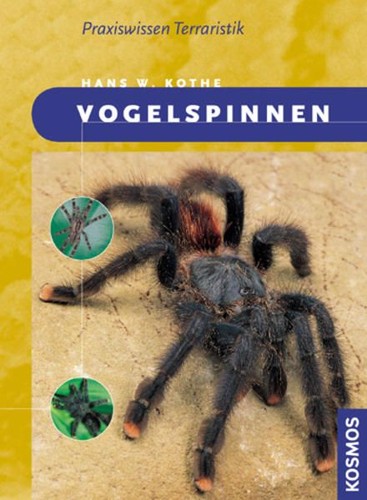 Vogelspinnen kothe hans - vogelspinnen,