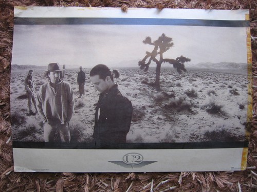 The joshua tree promo - tree, large