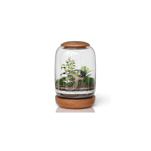Exclusive glass terrarium - exclusive,