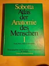 Anatomie des Menschen Sobotta
