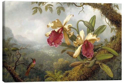 Leinwandbild orchidee und - leinwandbild,