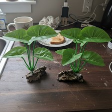 Kunstpflanzen Aquarium