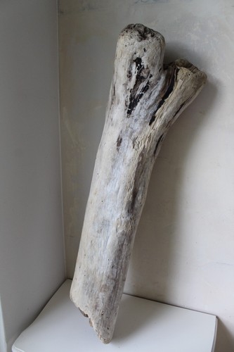 Treibholz schwemmholz - xl,