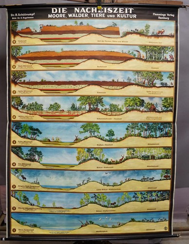 Schulwandkarte rollbild - schulwandkarte,