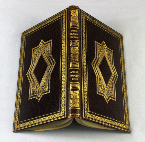 Fine binding 1873 - -,
