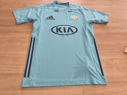 2018 surrey ccc t20 - ccc,