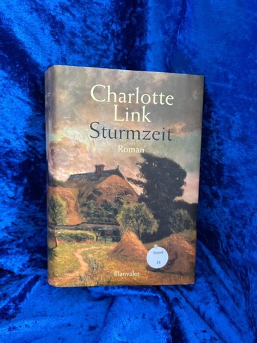 Sturmzeit roman von link - von,