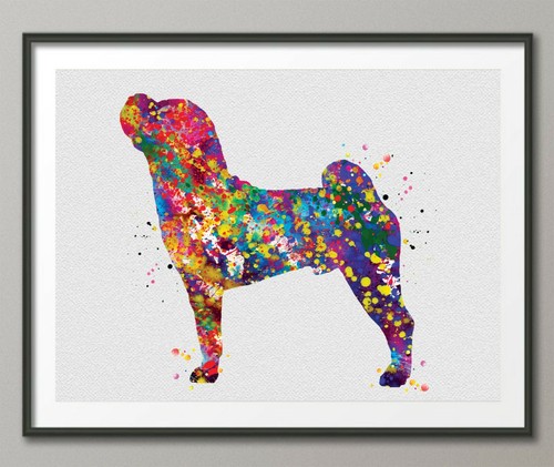 Shar pei chinesischer hund - shar,