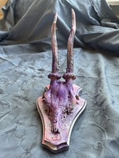 Echtes Rehgeweih Deko Ringe Oder Kettenhalter