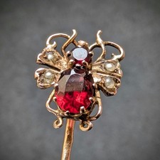 Antike Insekt Nadel Granat