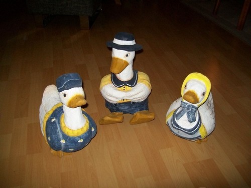 Verschiedene enten aus - 8,