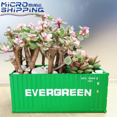 Evergreen container - 1:35,