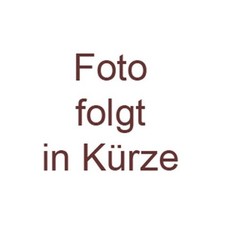 IDZ  BW  BALLISTISCHES