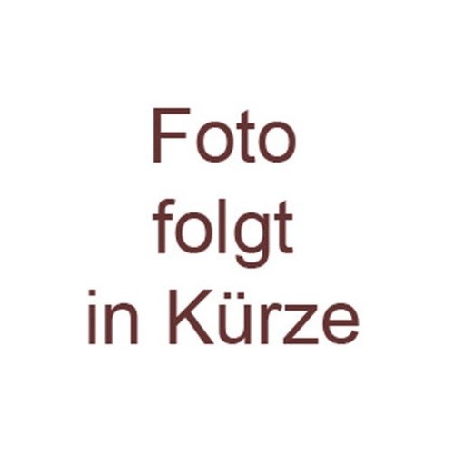 Idz ballistisches - idz,