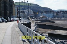 Foto 6x4 Eine Möwe steigt auf