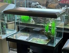 ** BRANDNEU ** Aquarium