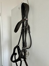 Anatomische Trense Claridge