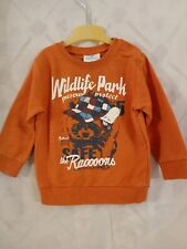 Jungen  Pullover ,Topomini