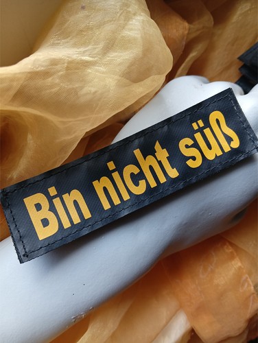 Bin nicht süß klettlogo - bin,