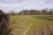 Foto 6x4 Feld von Colliston