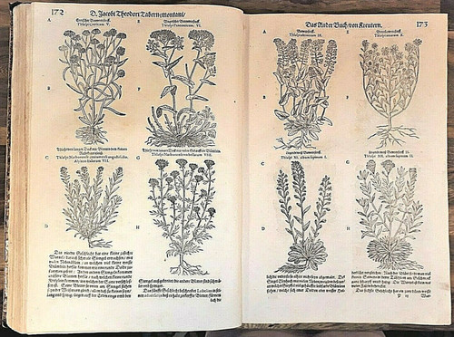 Kräuterbuch,Kreuterbuch,Kreut