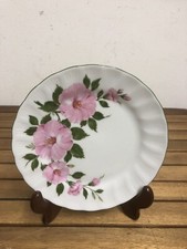 Kuchenteller Winterling Kirchenlamitz  Wild Rosen 19 cm. Vintage Porzellan.