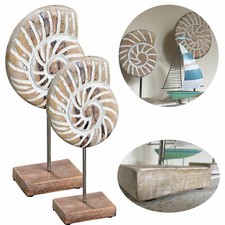 2x Deko Objekt Muschel Set