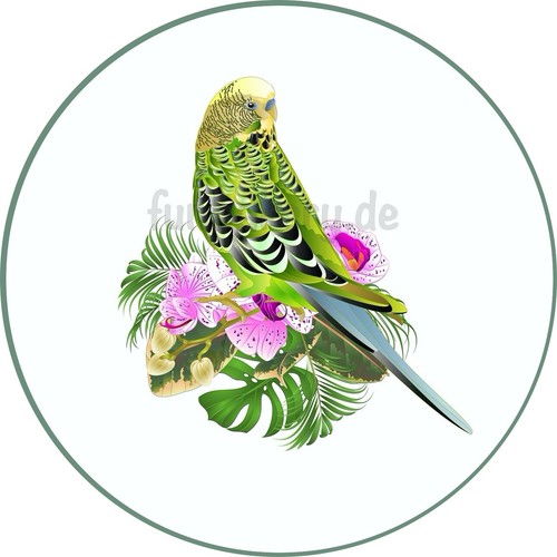 Vogel wellensittich eßbar - vogel,
