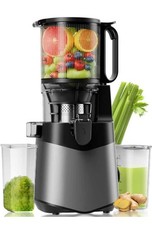 Entsafter Slow Juicer