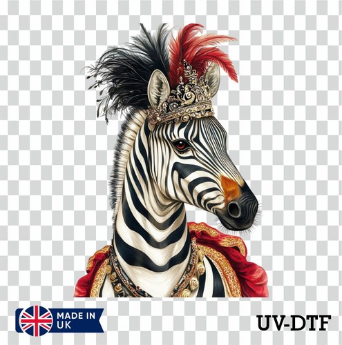 Zirkus zebra dtf - zirkus,
