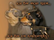 PRAGER RATTLER Metall SCHILD