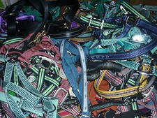 Überraschungshalfter Halfter Fohlen Shetty Pony Vollblut Warmblut Kaltblut